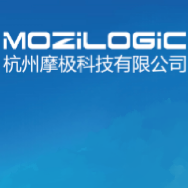 高级数据分析师招聘-杭州摩极科技有限公司招