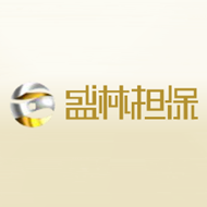 广州盛林融资担保有限公司